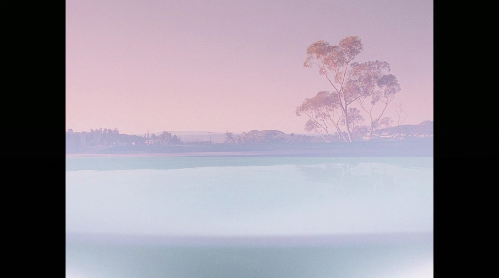 a large body of water with trees in the background