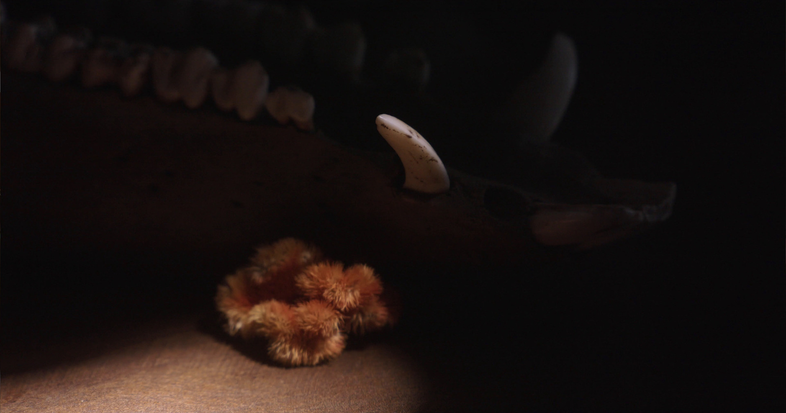 a stuffed animal laying on the ground in the dark