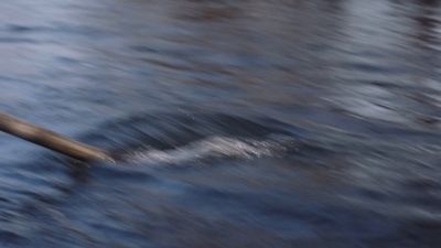 a blurry photo of a baseball bat in the water