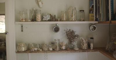 a shelf filled with lots of jars and jars