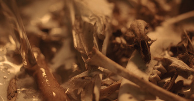 a close up of a bunch of brown and white items