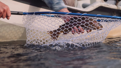 a person holding a fishing net in the water