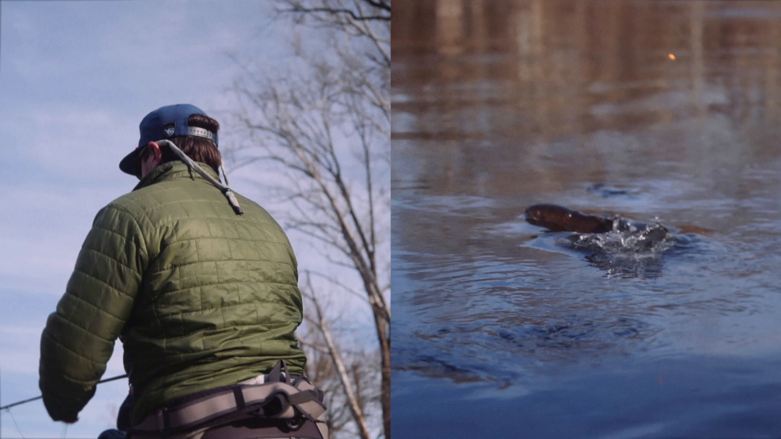 a man in a green jacket and a dog in the water