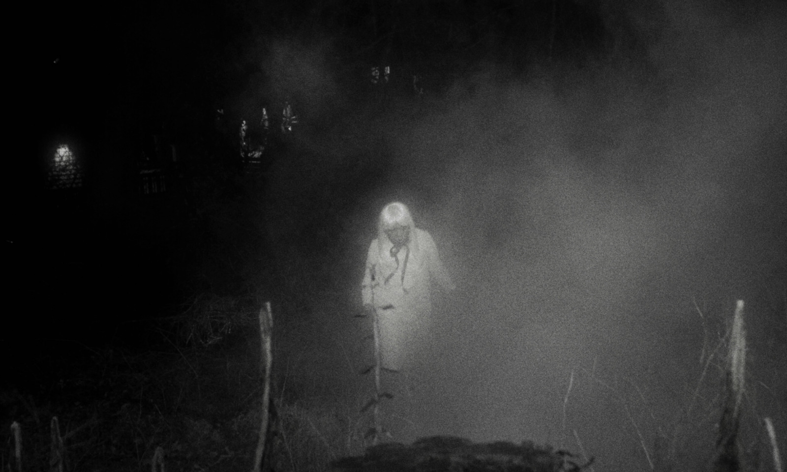 a person standing in the dark in the fog