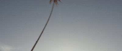 a person flying a kite in the sky