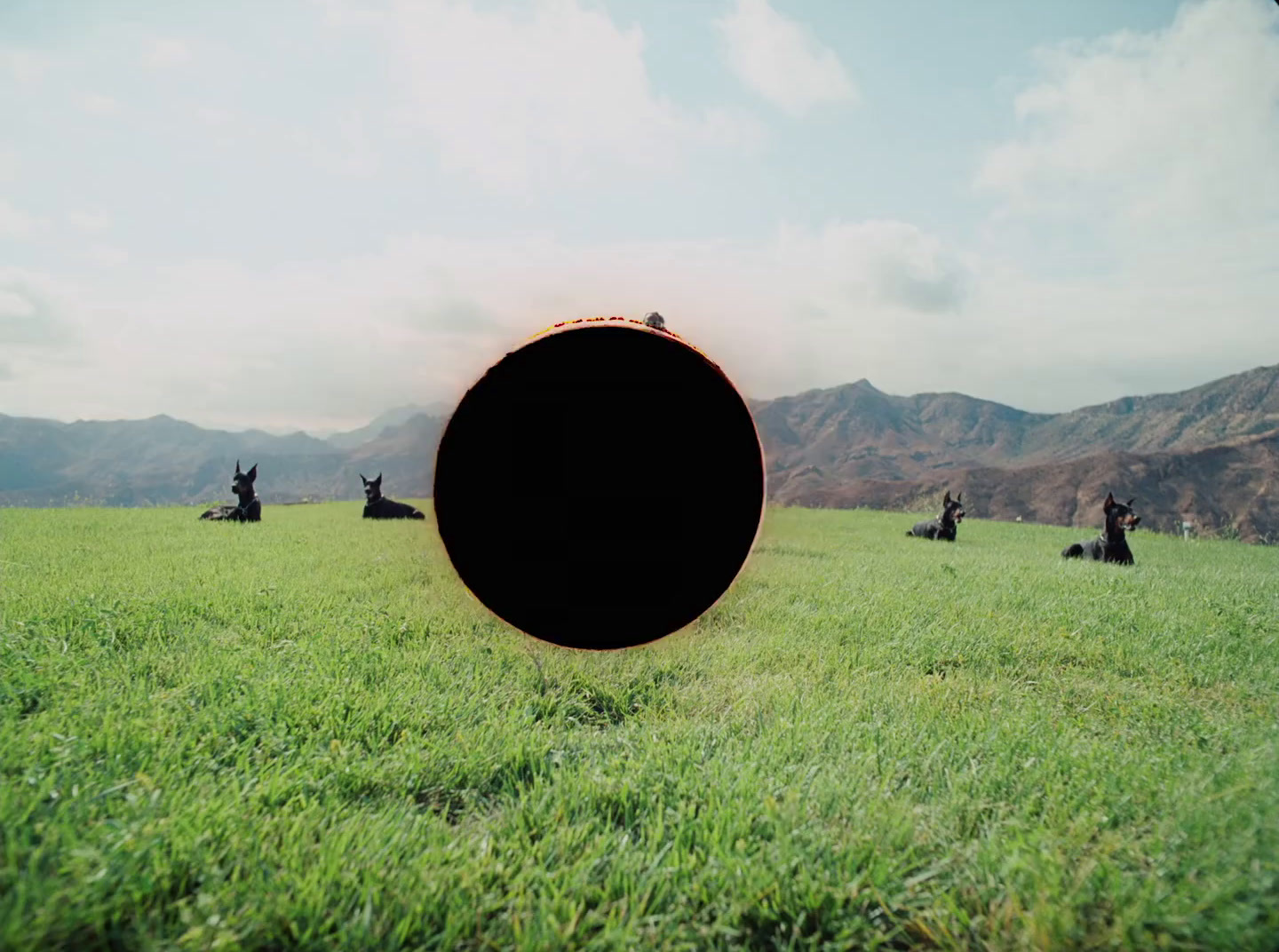 a large pipe laying on top of a lush green field