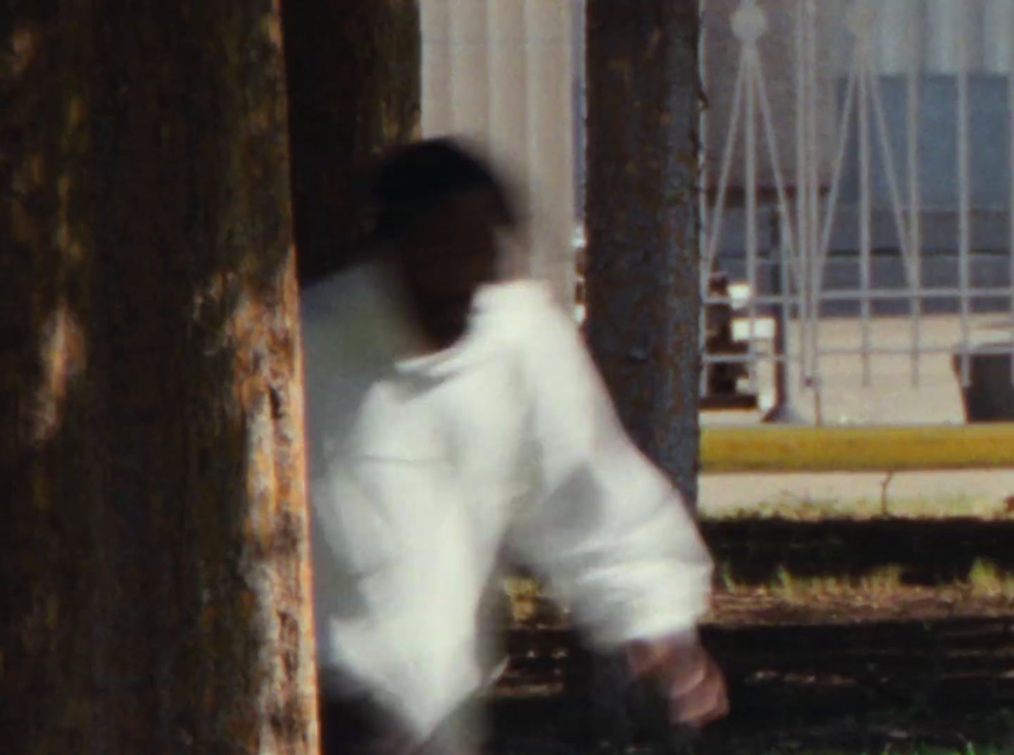 a blurry image of a person walking by a tree