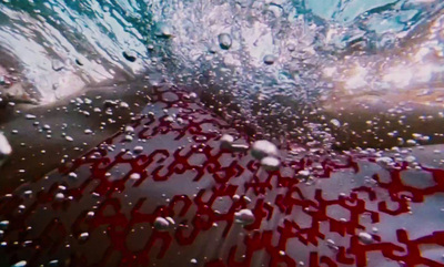 a close up of a red object in the water