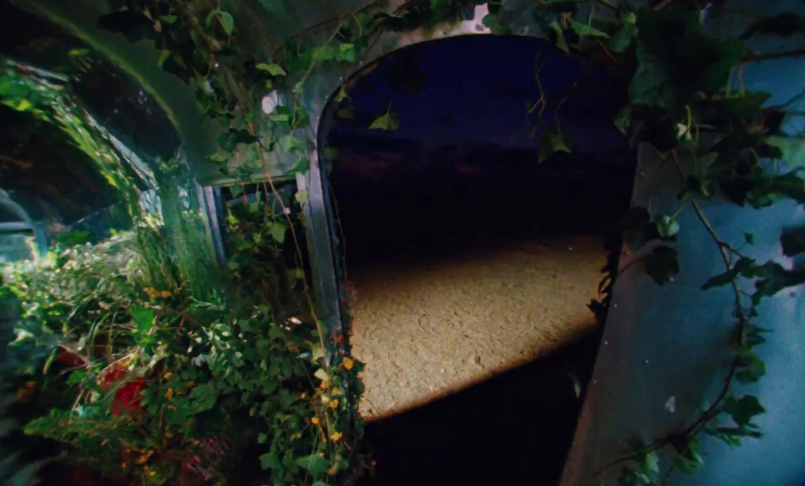 a tunnel in the middle of a garden filled with plants