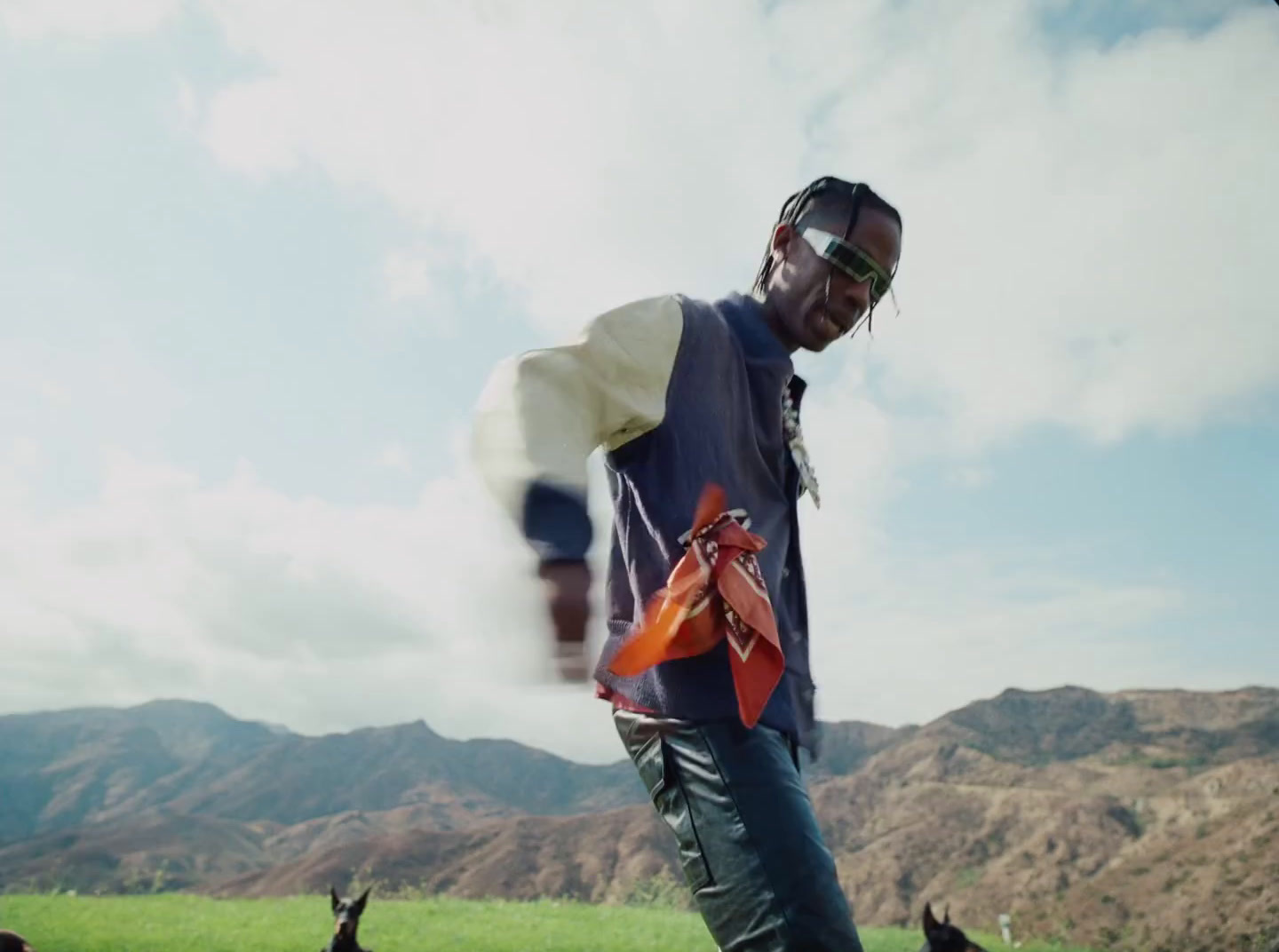 a man standing in a field with a dog