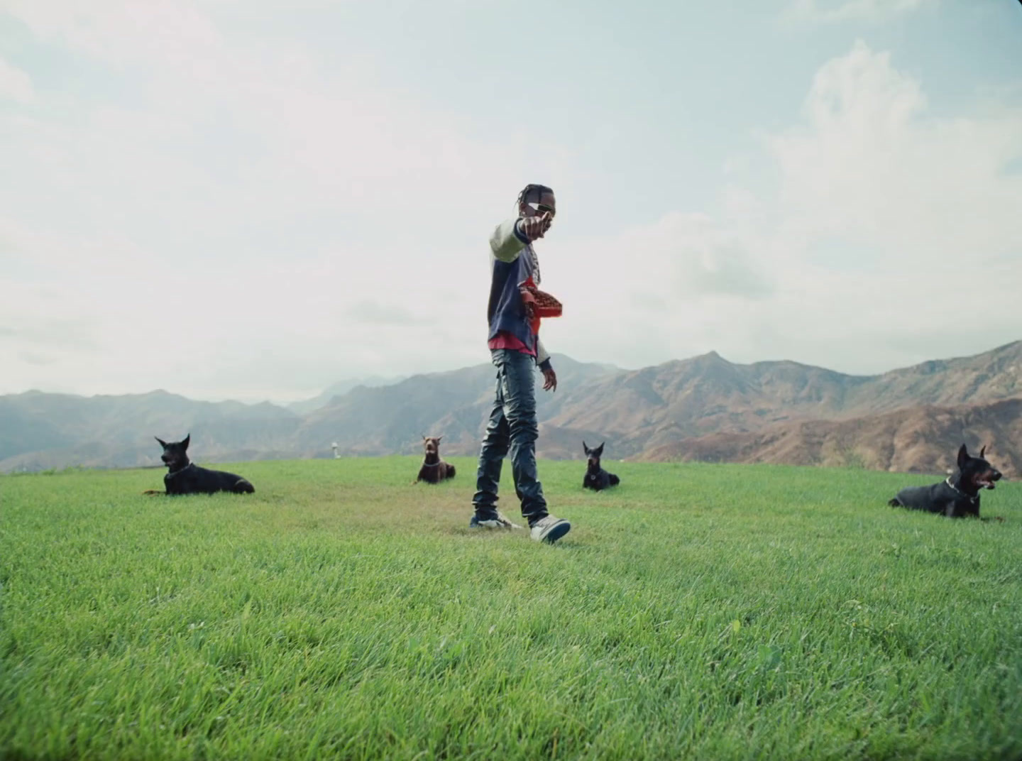 a man standing on top of a lush green field