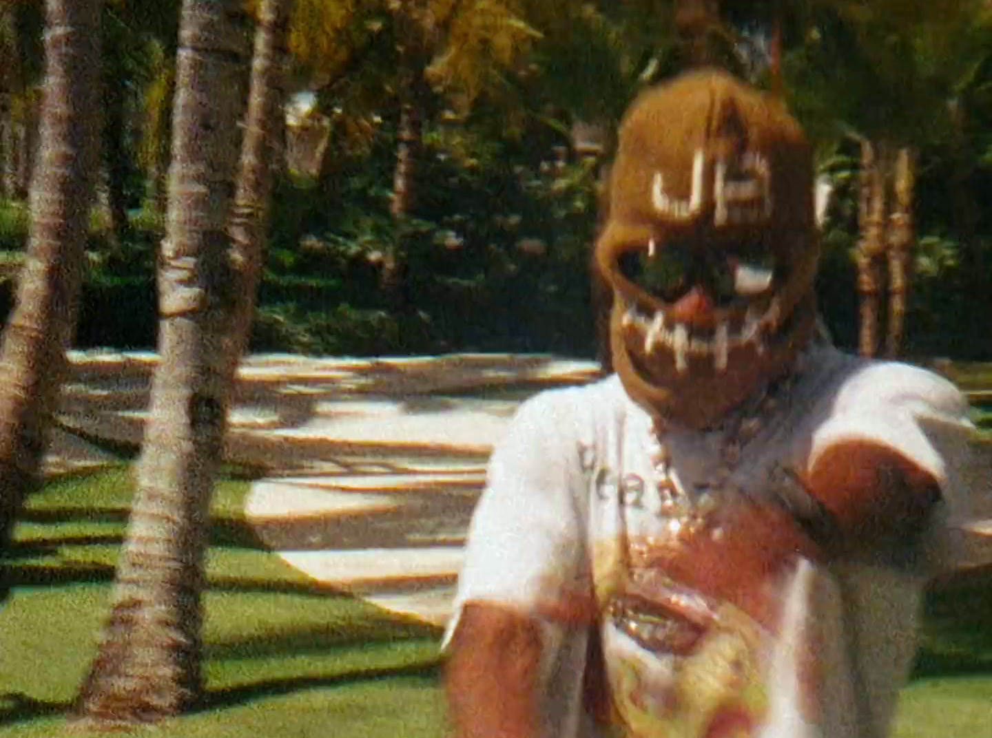 a person wearing a mask and holding a frisbee