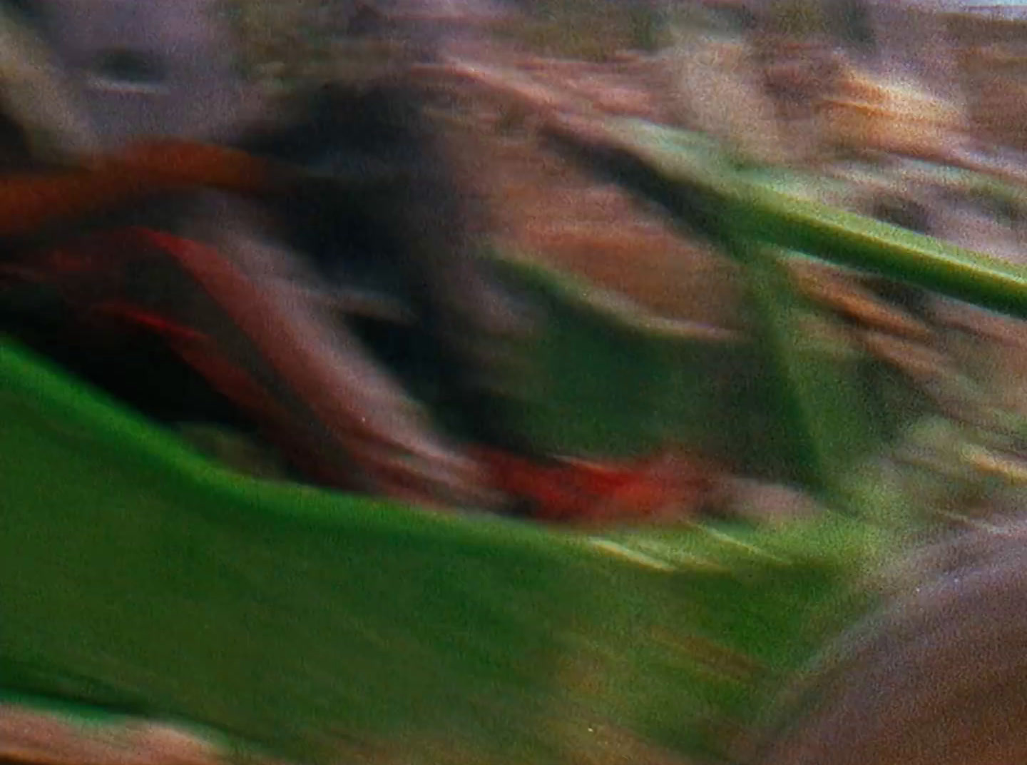 a blurry photo of a person riding a roller coaster