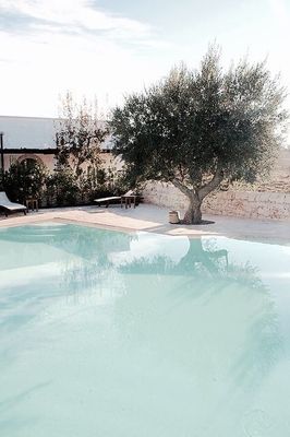 a pool with a tree in the middle of it