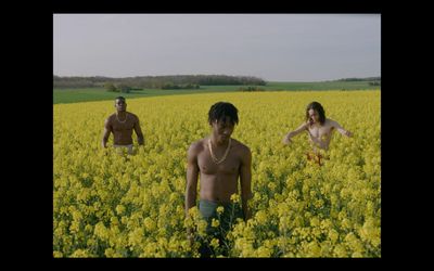 a group of men standing in a field of yellow flowers