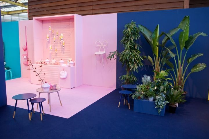 a pink and blue room with a potted plant