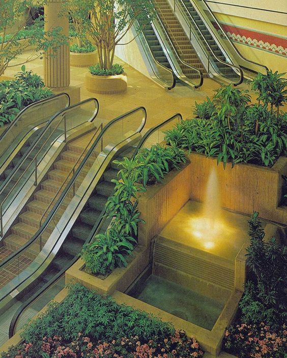 an escalator in a building with plants growing on it