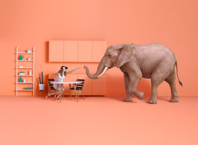 an elephant standing next to a little girl in a room