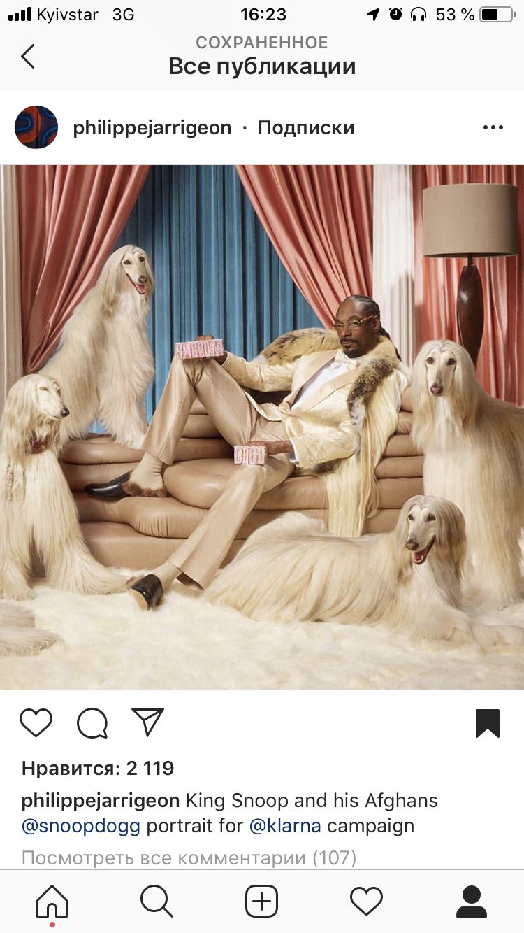 a man sitting on top of a couch surrounded by dogs