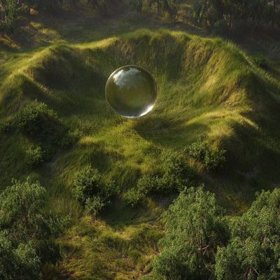 a large glass ball sitting in the middle of a lush green field