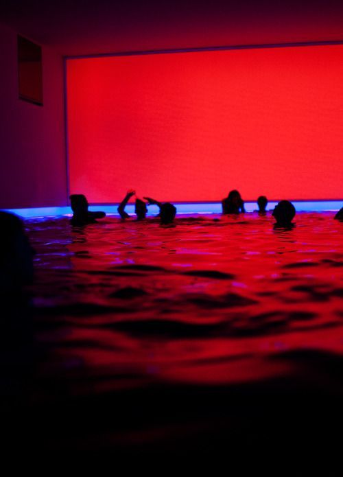 a group of people swimming in a pool of water