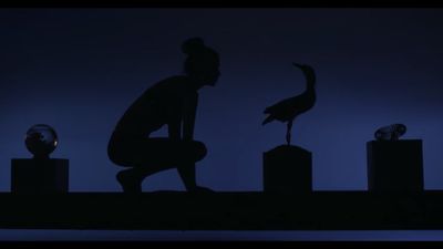 a silhouette of a man kneeling down next to a bird