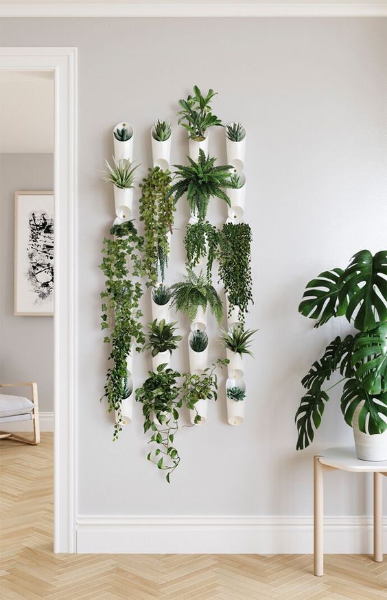 a white wall with a bunch of plants on it