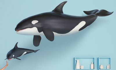 an orca whale and an orca whale floating in the air