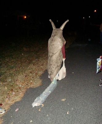 a person standing on a street with a large object in the middle of the road