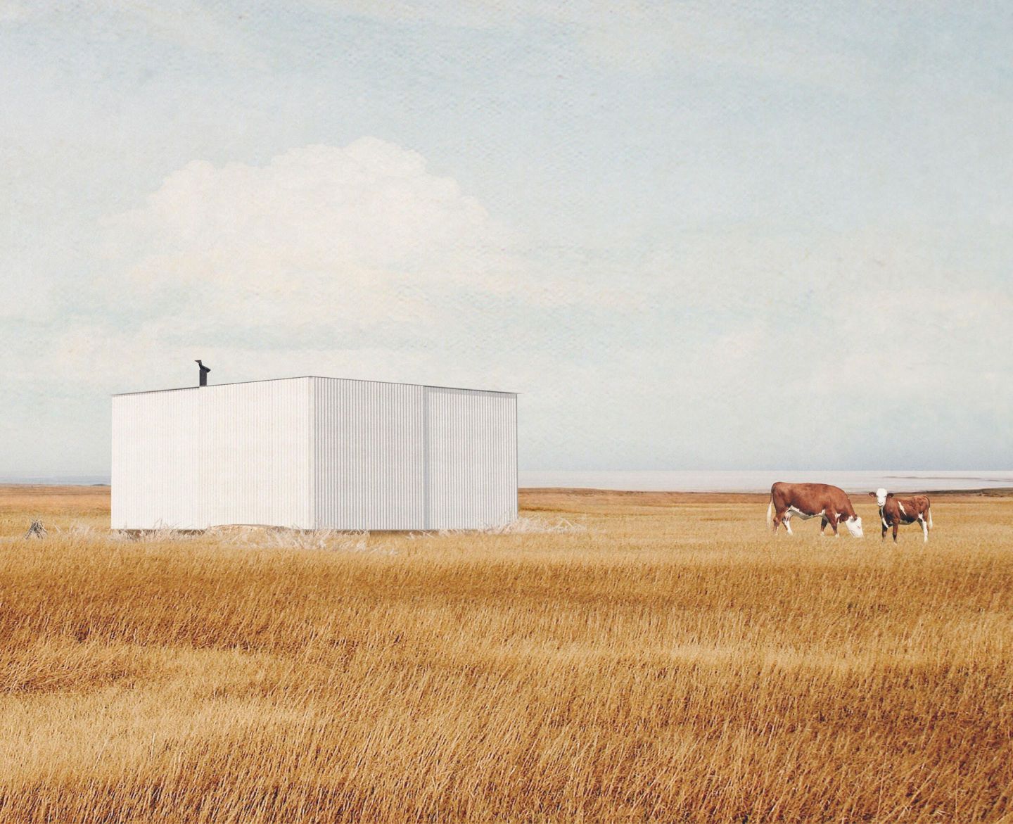 a couple of cows are standing in a field