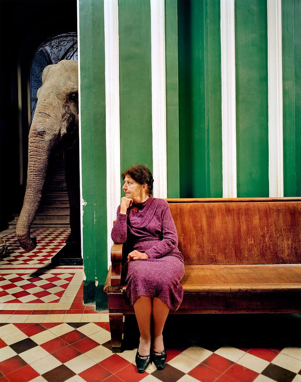 a woman sitting on a bench in front of an elephant