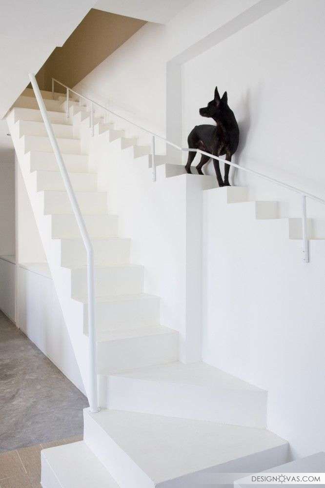 a black dog sitting on top of a set of stairs