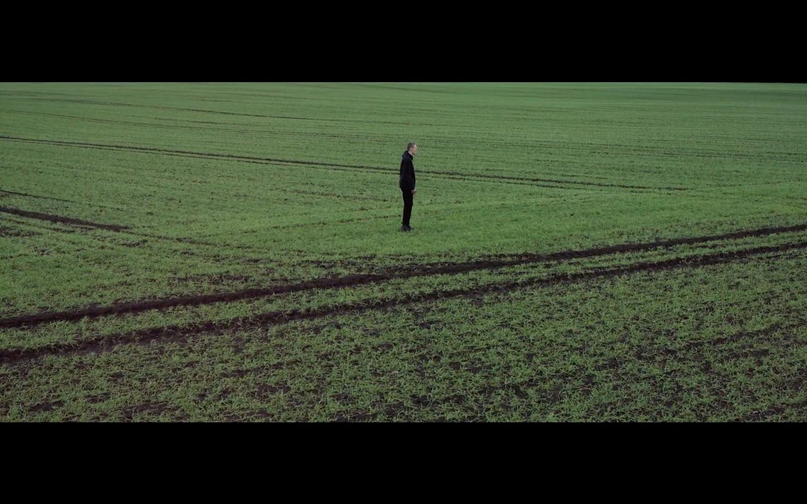 a person standing in a large field of grass