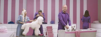 a group of people standing around a white dog