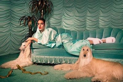 a woman laying on top of a couch next to two dogs