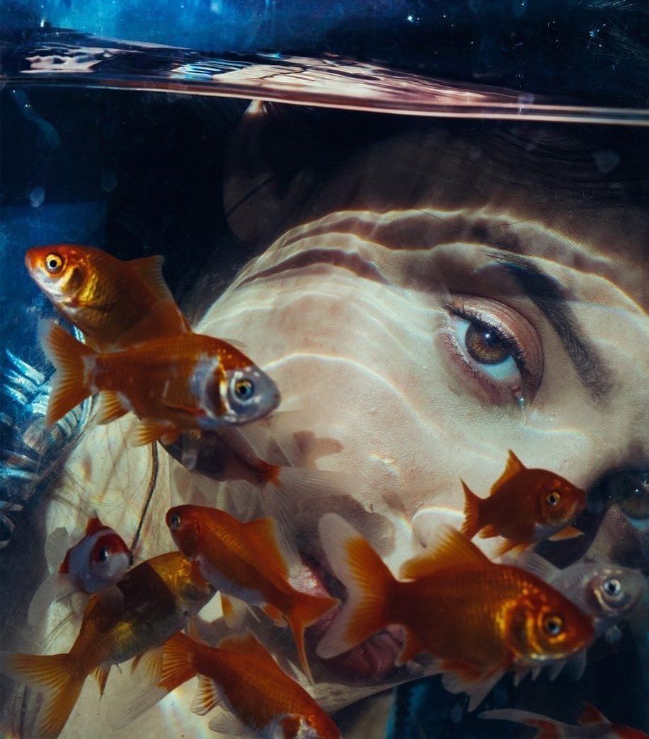 a woman's face surrounded by goldfish in an aquarium