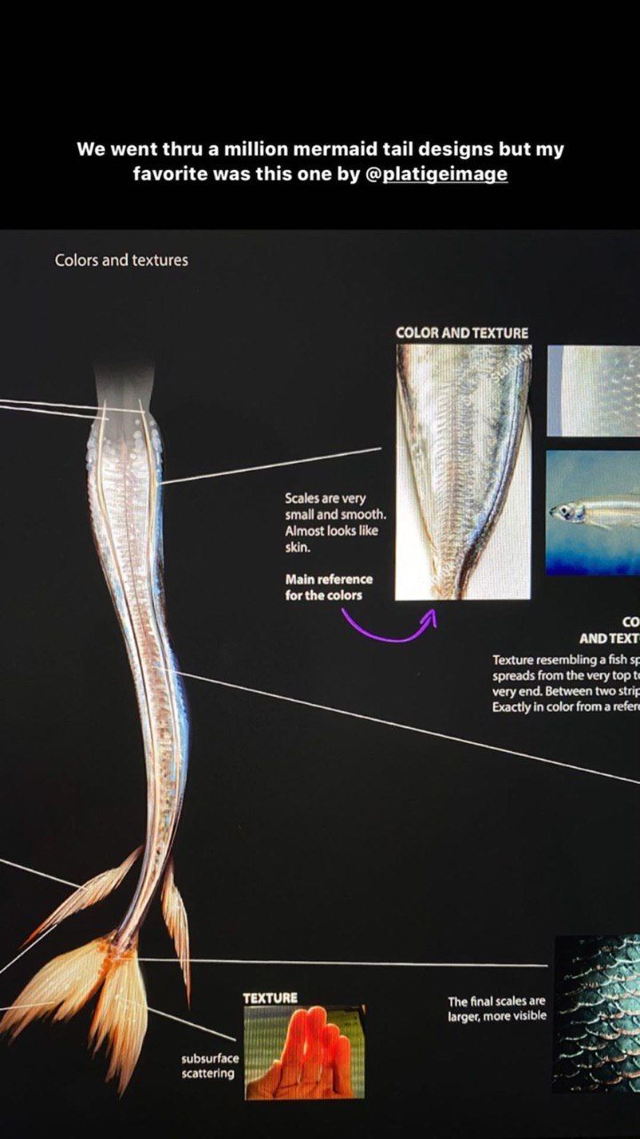 a diagram of a fish's body and its features