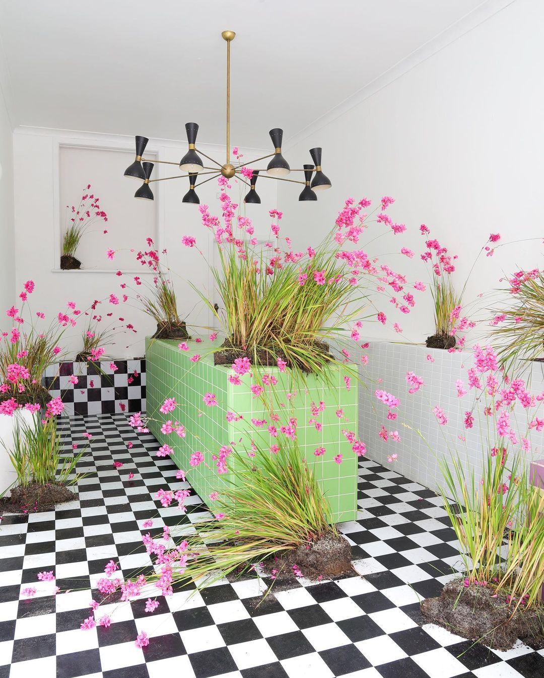 a black and white checkered floor with pink flowers