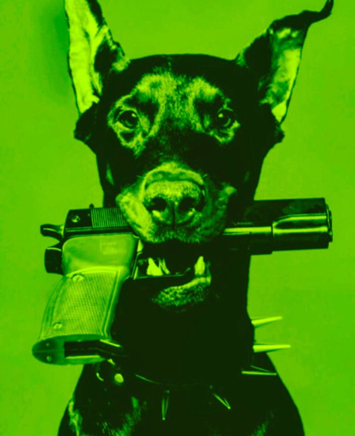 a dog with a gun in its mouth