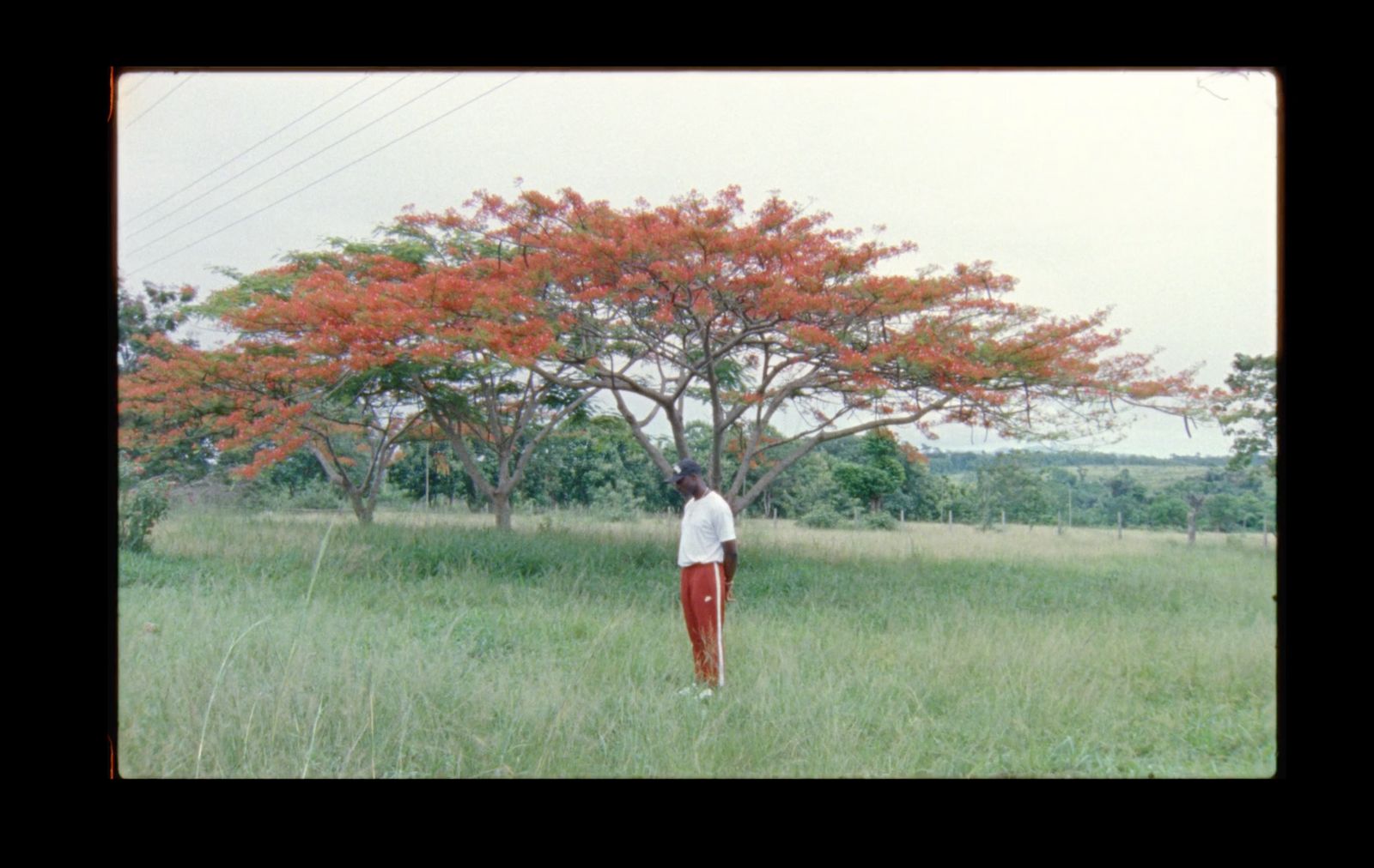 a person standing in a field with a tree in the background