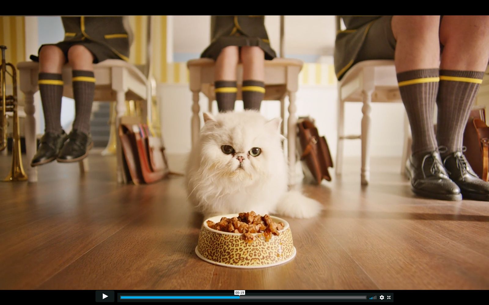 a white cat sitting on top of a wooden floor next to a bowl of food