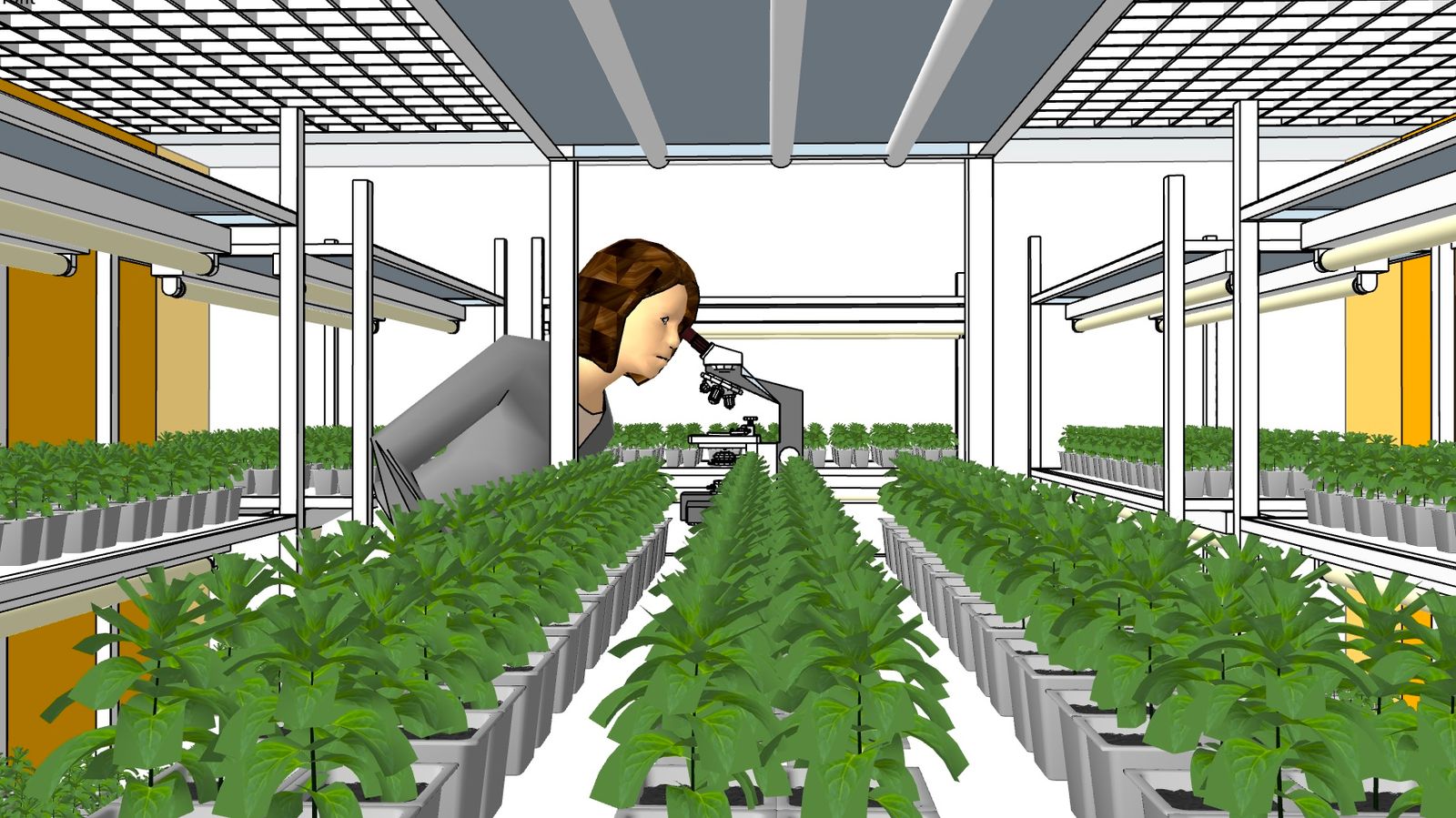 a woman in a greenhouse looking at plants