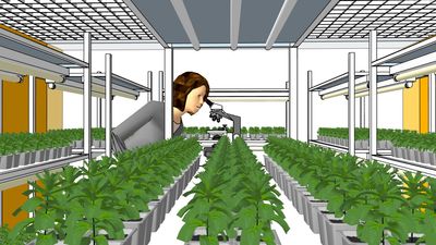 a woman in a greenhouse looking at plants