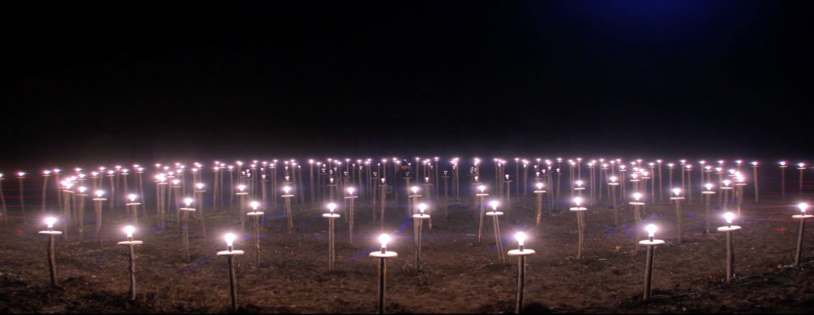 rows of lit candles in a field at night