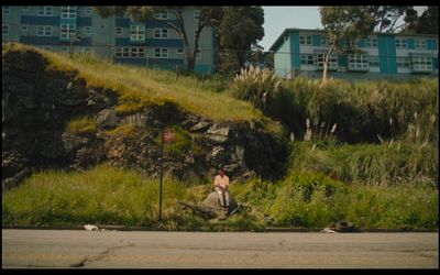 a person sitting on a rock in the grass