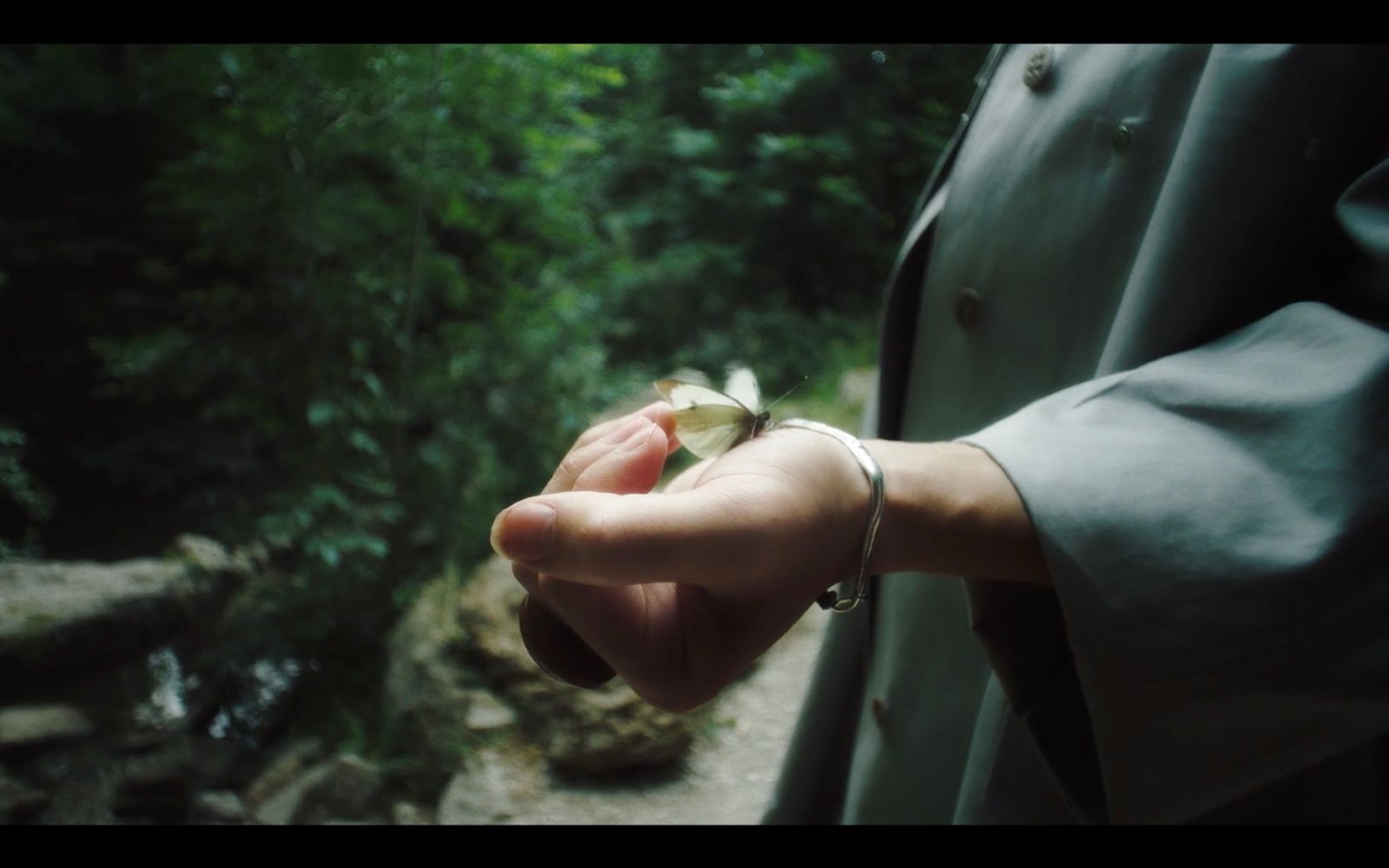 a person holding a flower in their hand