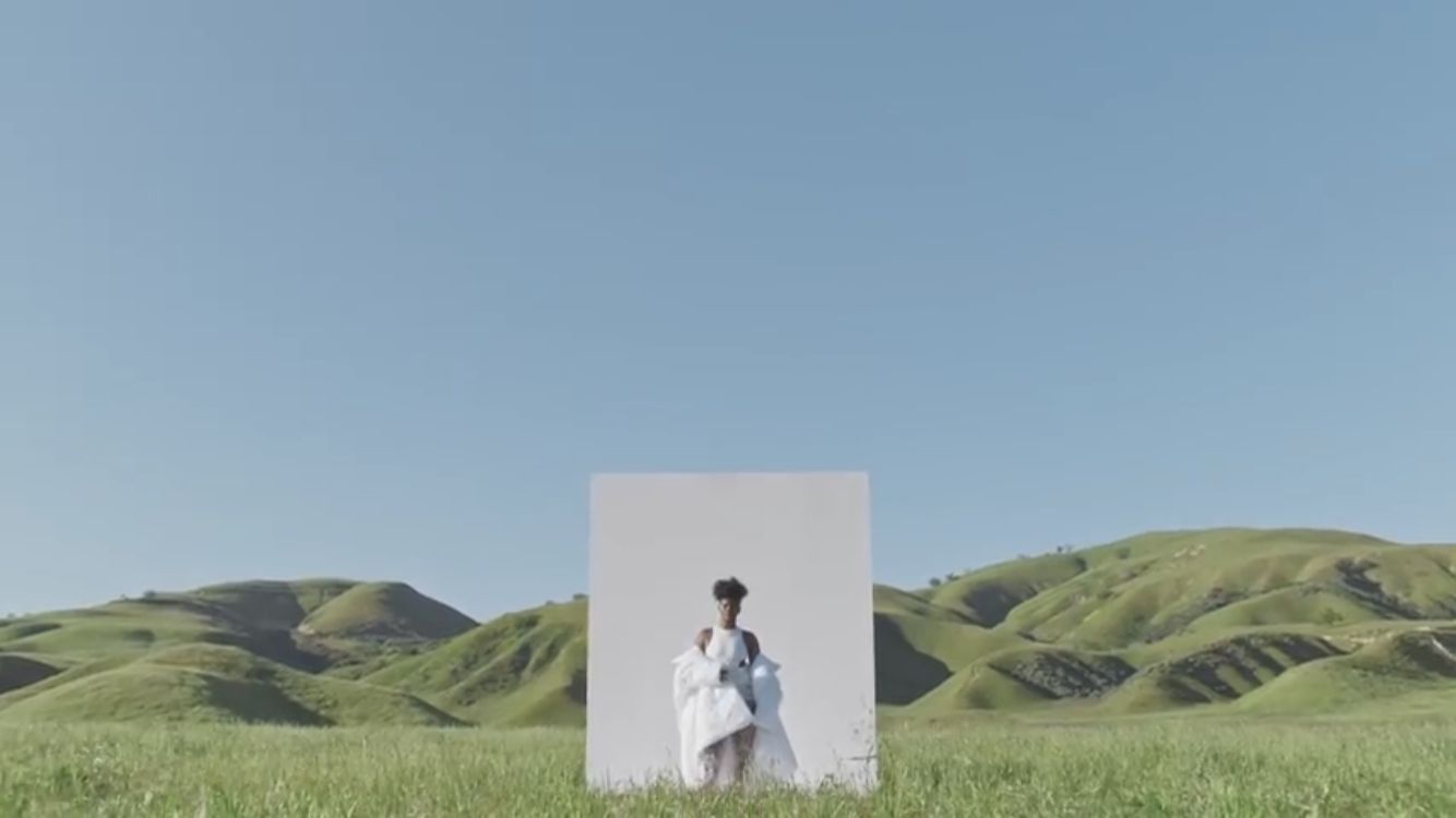 a woman standing in a field with a picture frame