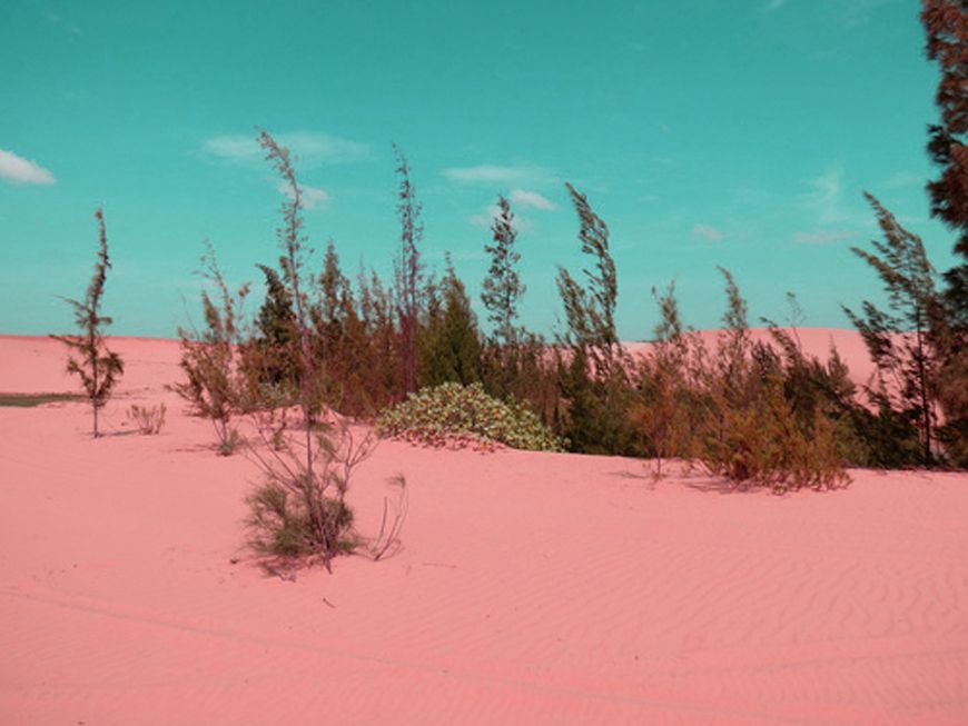 a pink sand dune with trees in the background