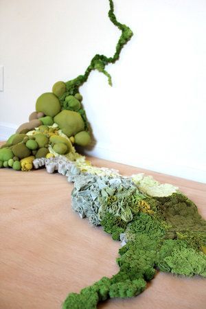 a pile of moss sitting on top of a wooden table