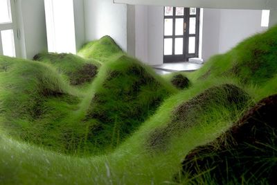 a room filled with lots of green grass next to a window